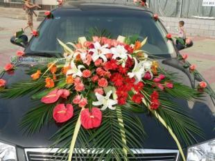 帝9婚慶 一站式洛陽個性婚慶服務專家